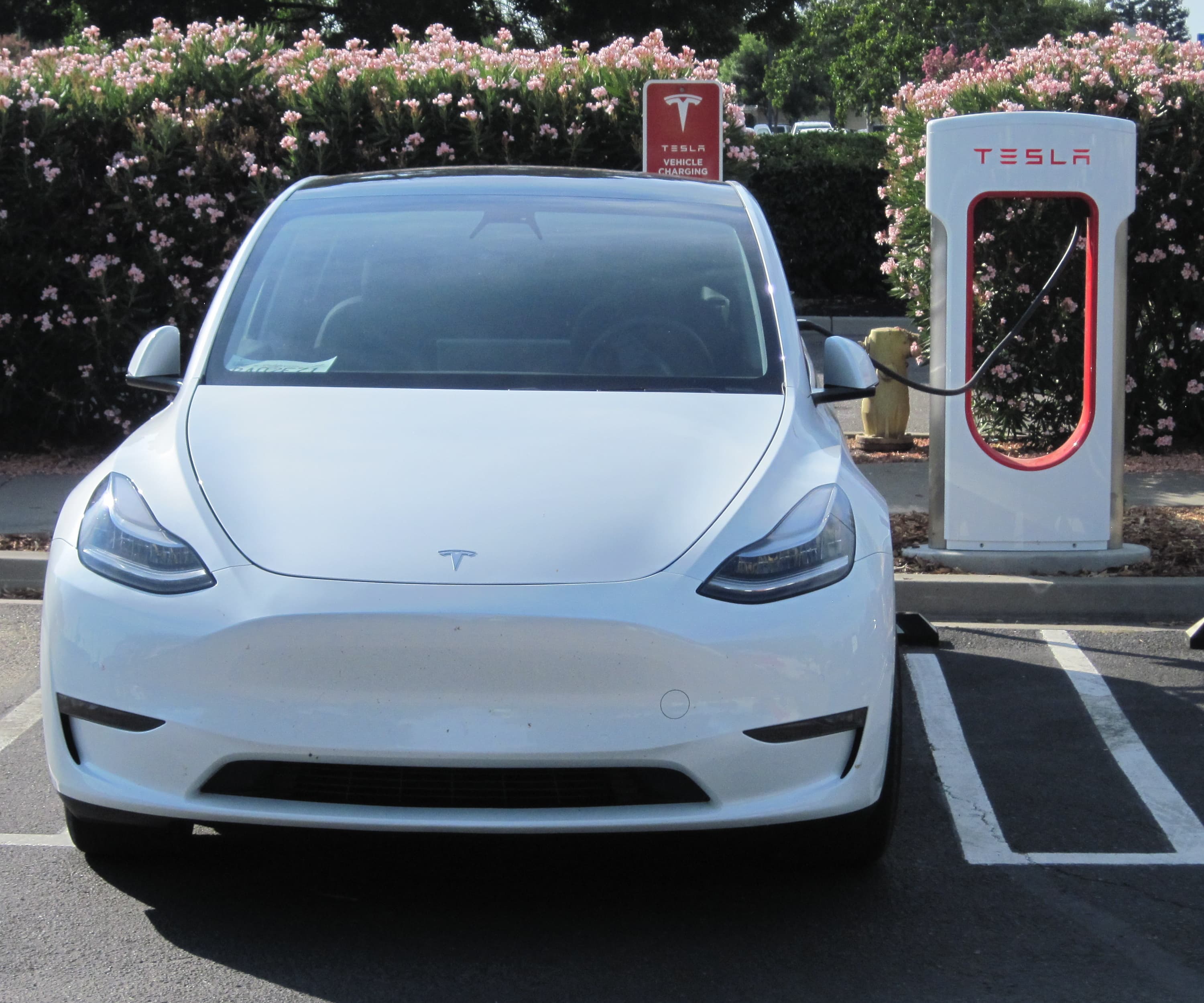 Tesla Model 3 plugged into a Supercharger in a parking lot