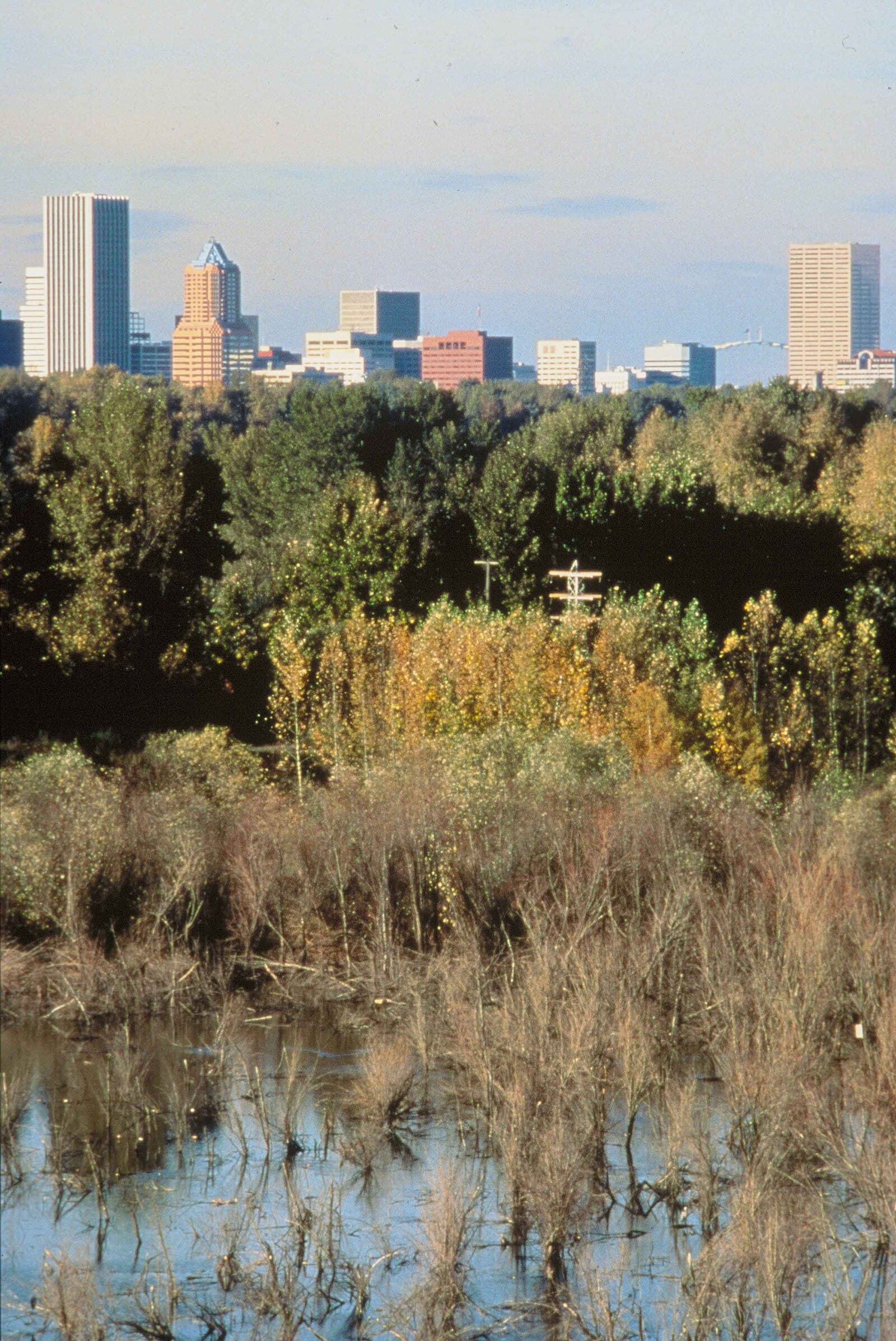 Portland skyline with Mount Hood in the background