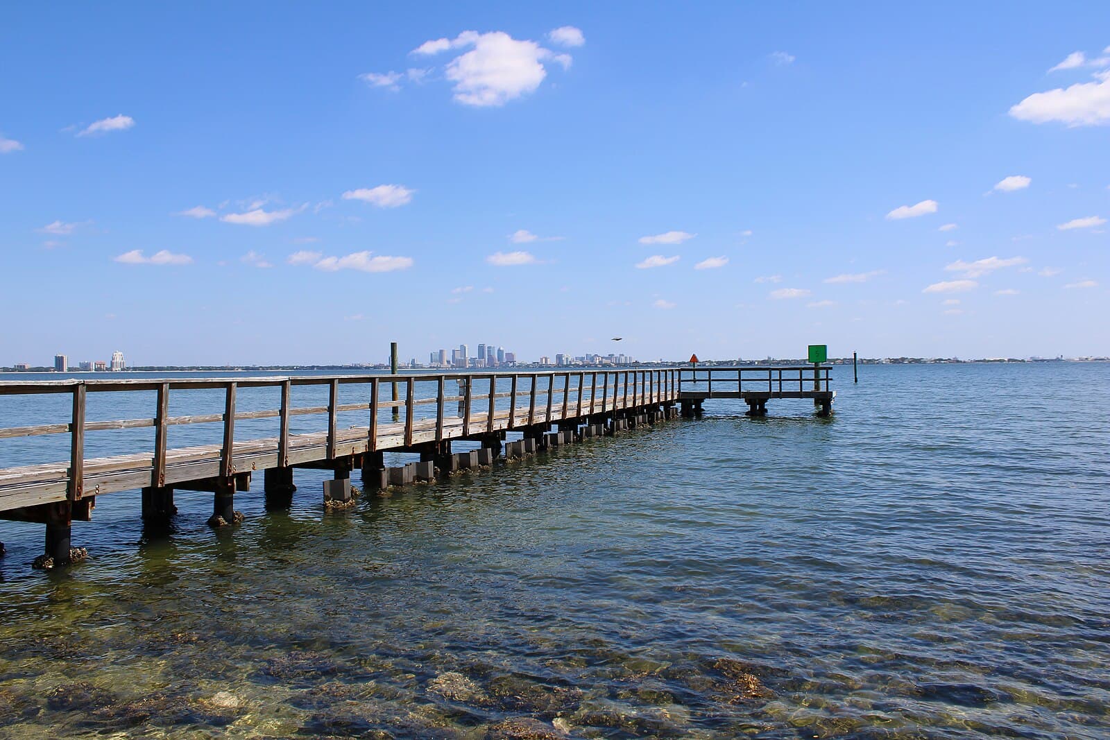Tampa skyline with waterfront buildings